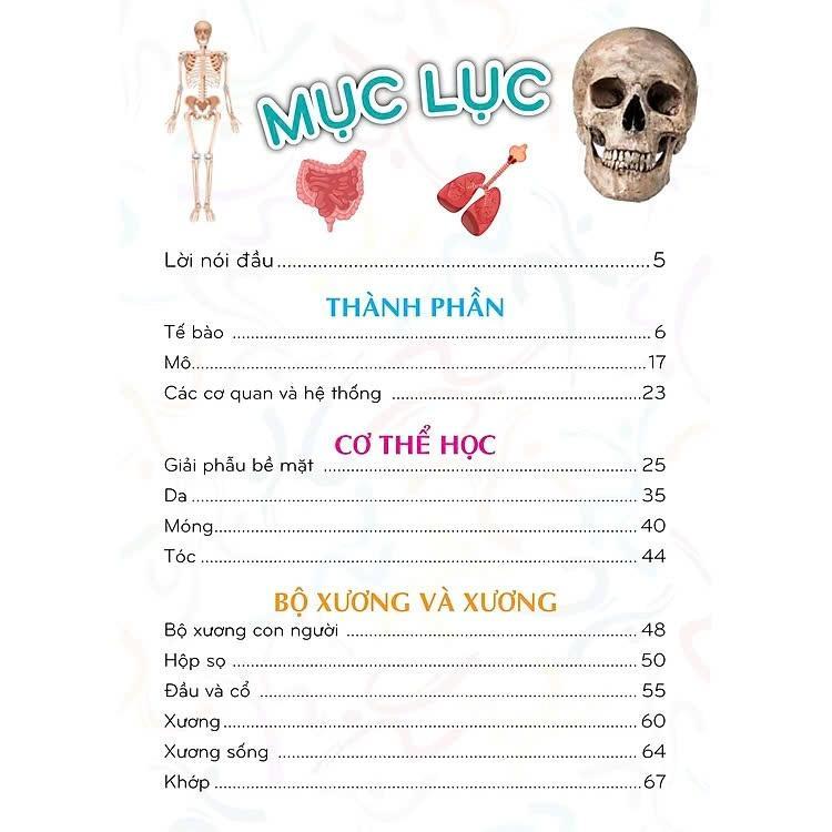 Sách - 500 Bách Khoa Tri Thức - Cơ Thể Người - Pegasus - VIETNAMBOOK