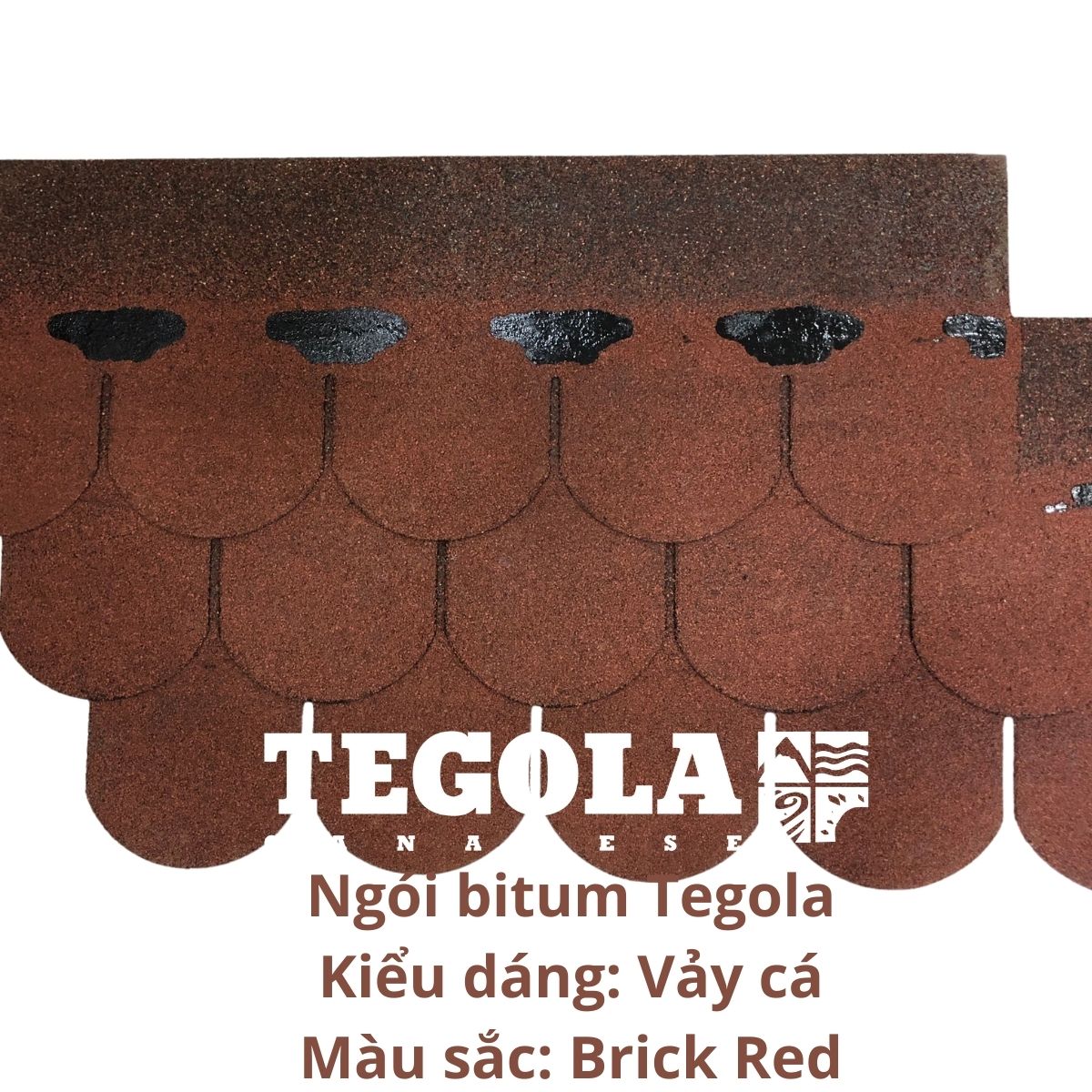 Ngói bitum phủ đá Tegola  - ngói lợp vảy cá màu đỏ Brick Red Italia - chất lượng ngói lợp Châu Âu đóng gói 21tấm/gói phủ 3.05m2 mái