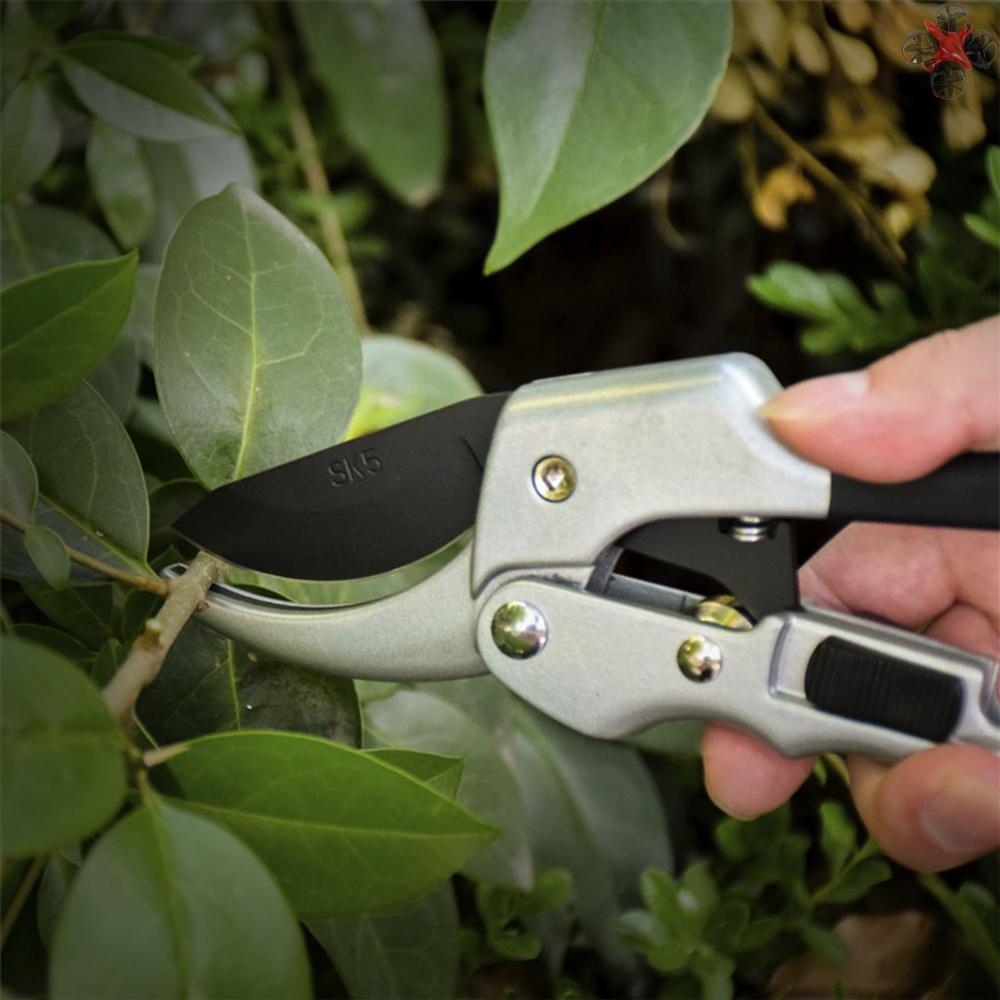 Kéo Tỉa Cành Bằng Tay Cỡ 3 / 4 "