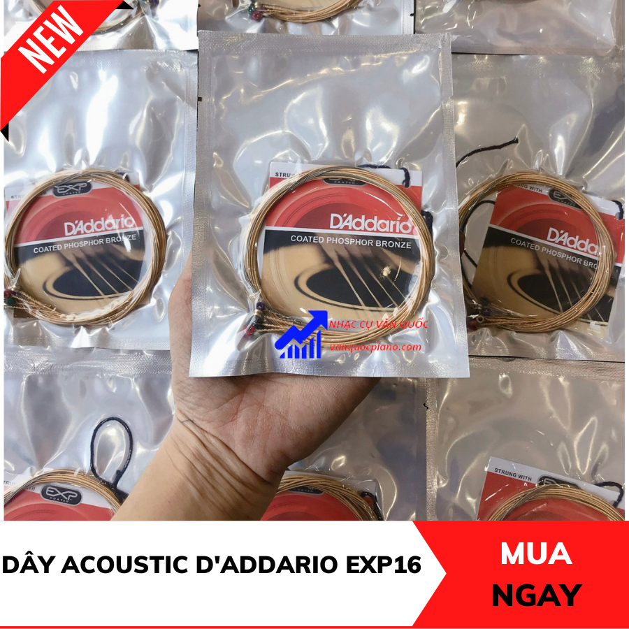 Dây Đàn Guitar Acoustic D'Addario  EPX 26, EJ 13, EJ 16, EZ 910, EZ 920 , EZ 930 Custom Light,1152,80/20Bronze