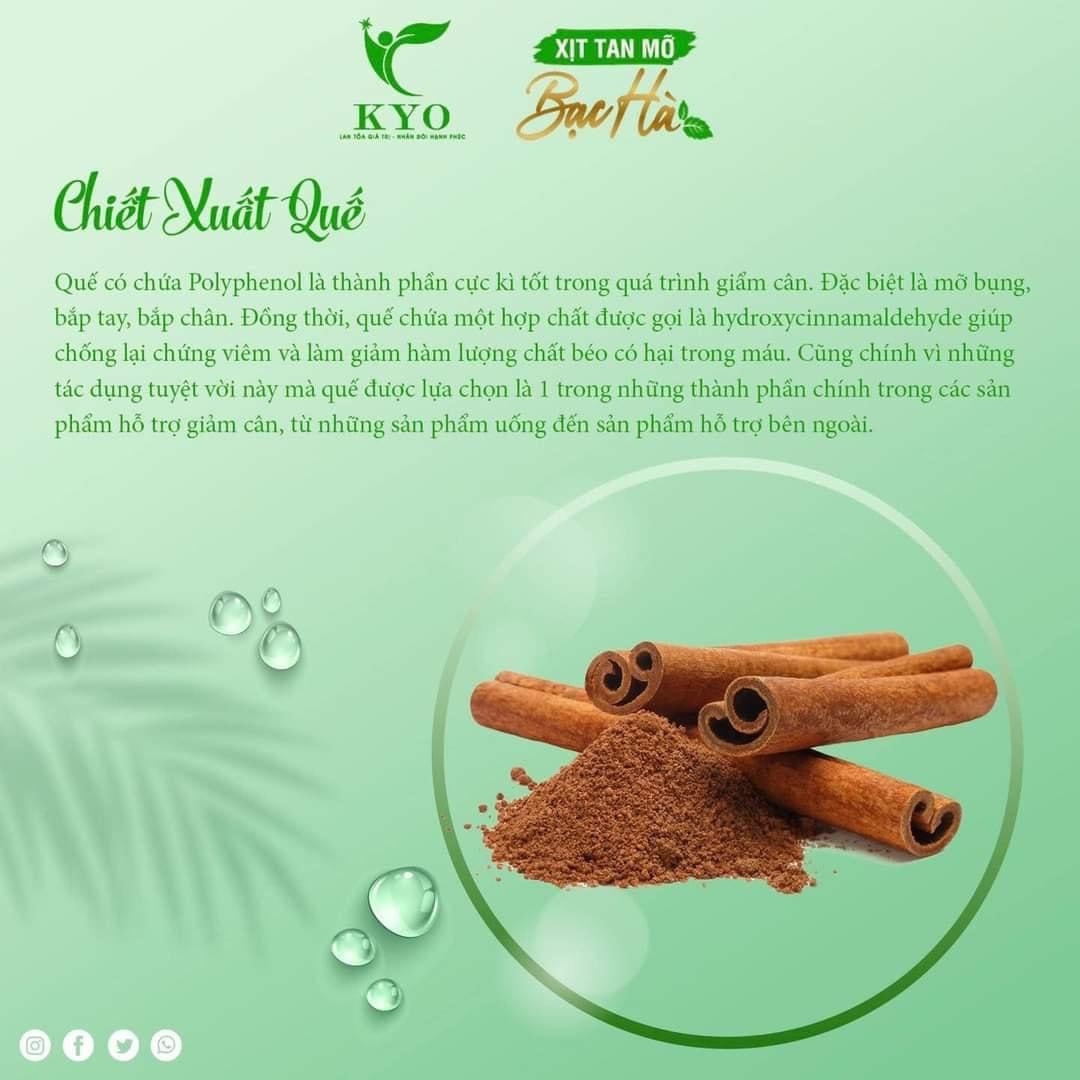Xịt Tan Mỡ Bạc Hà 100ml giúp đào thải mỡ lấy lại vóc Dáng Chuẩn
