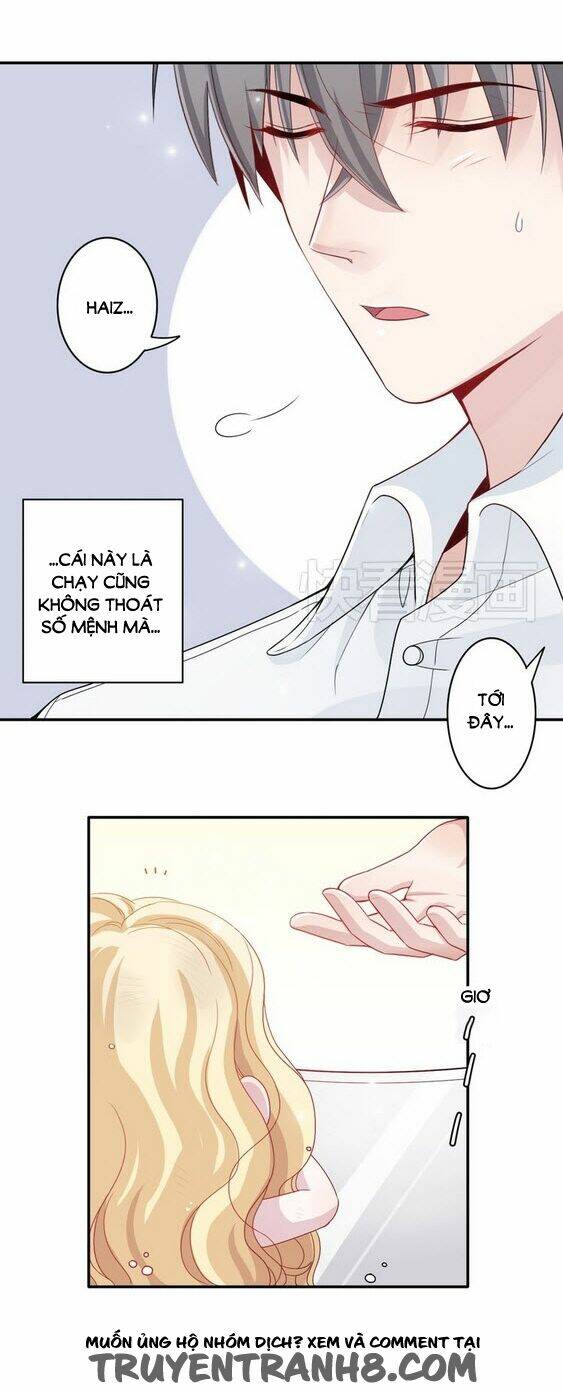 thần mì lắm chiêu chapter 3 11