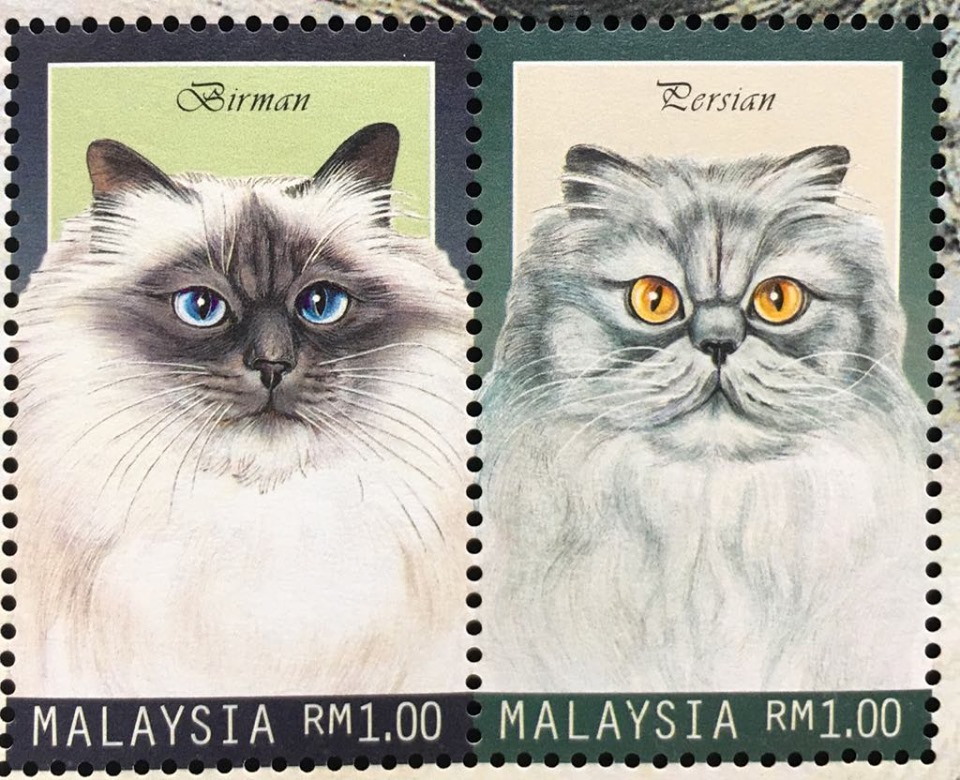 Bộ Tem Sưu Tầm Malaysia 1999 Các Loài Mèo Đáng Yêu - 4 Con Stamps