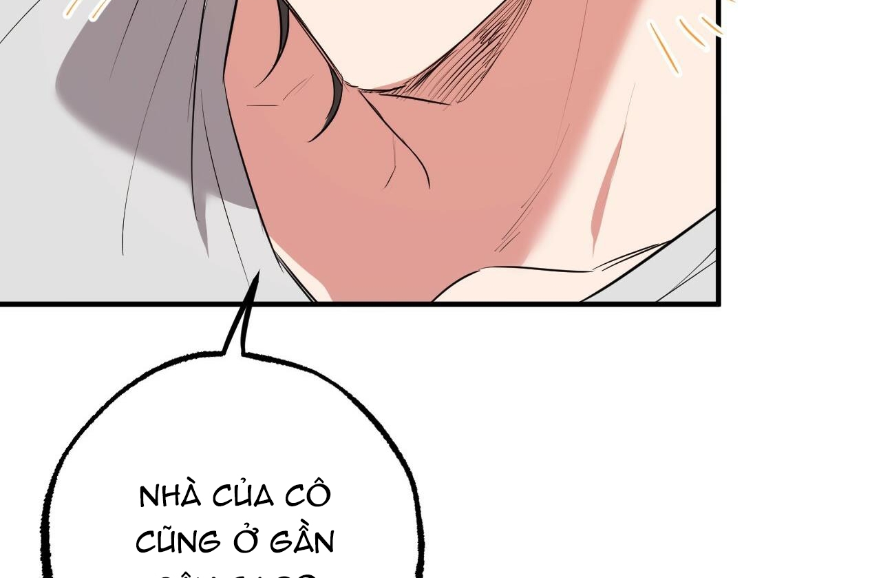 đàn thỏ của habibi chapter 39 143