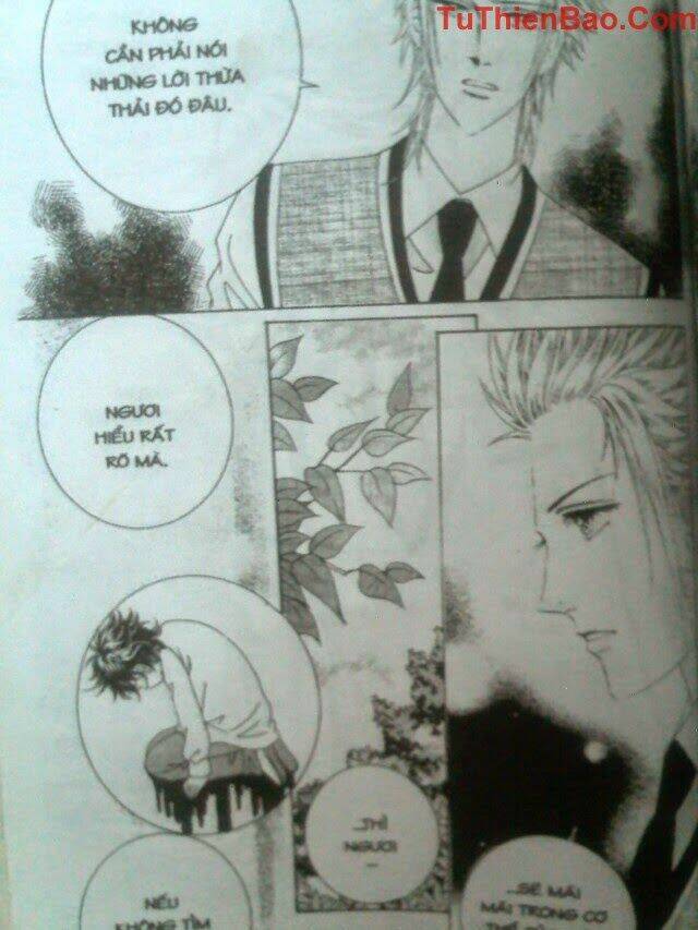 tình trong mộng chapter 8 88