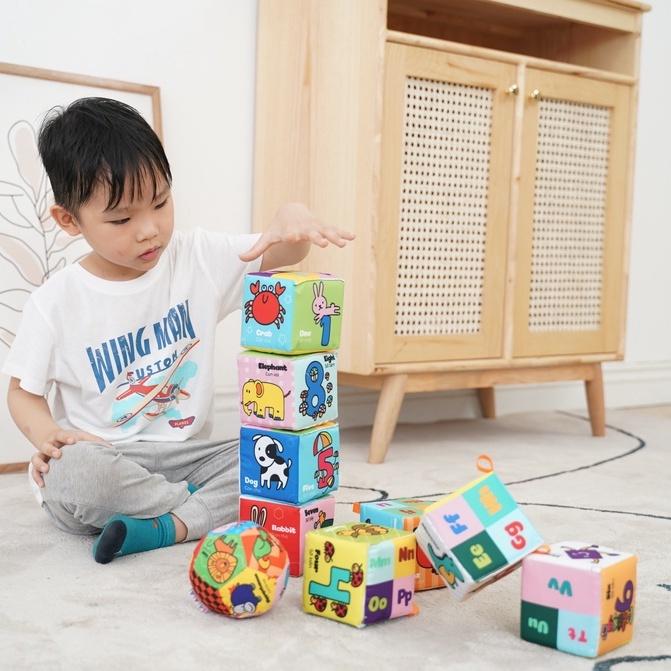 Bộ 9 Hình khối xúc xắc đa tương tác và Bóng vải cho bé Lalala Baby (FARM BLOCK)