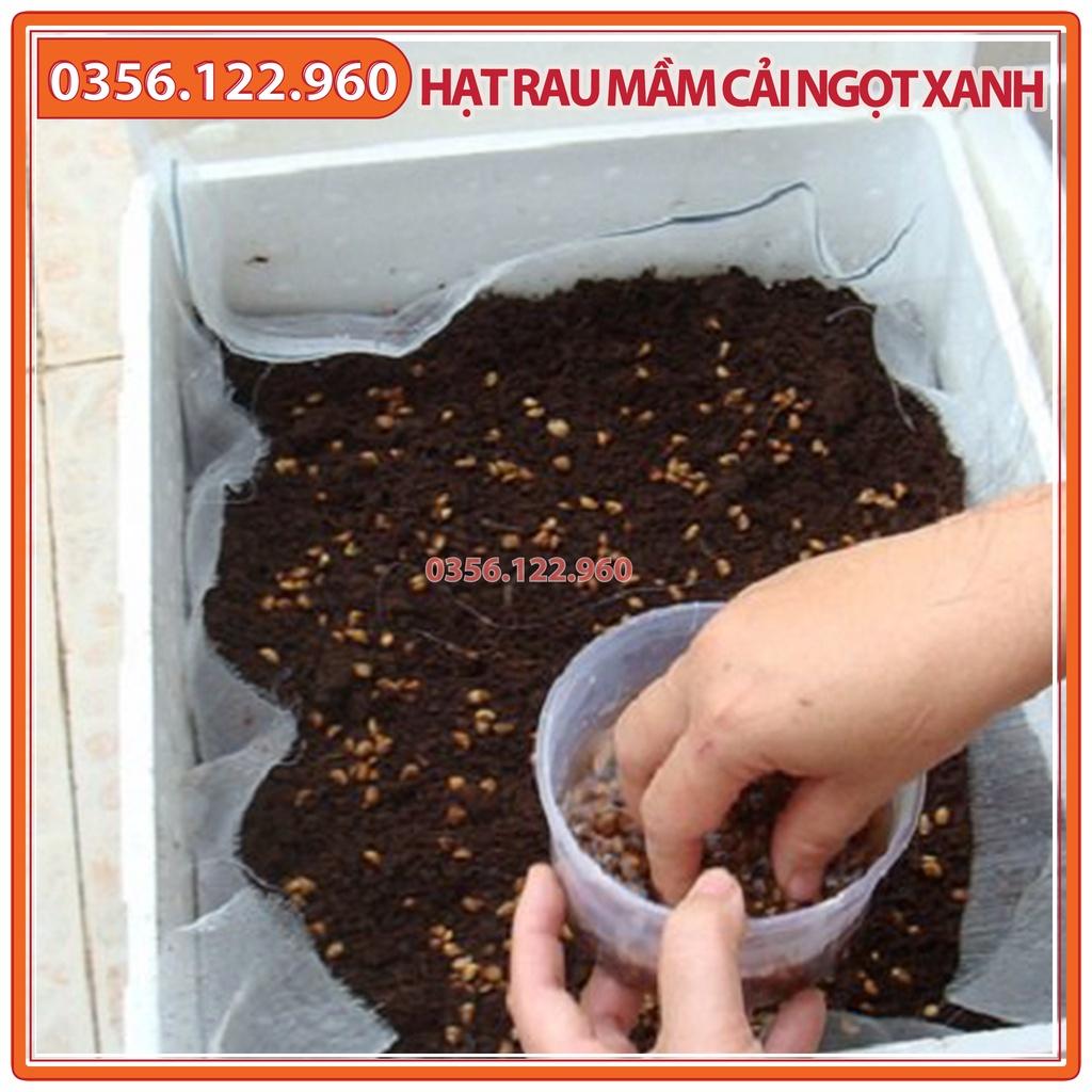 Hạt rau mầm rau cải ngọt xanh - gói 50g - hạt tuyển chọn chất lượng cao