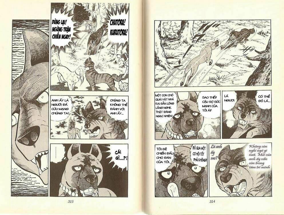 chú chó có nghĩa - ginga nagareboshi gin chapter 12 24