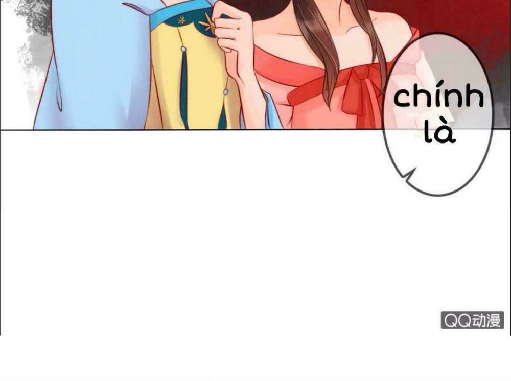 sủng phi của vương chapter 16 23