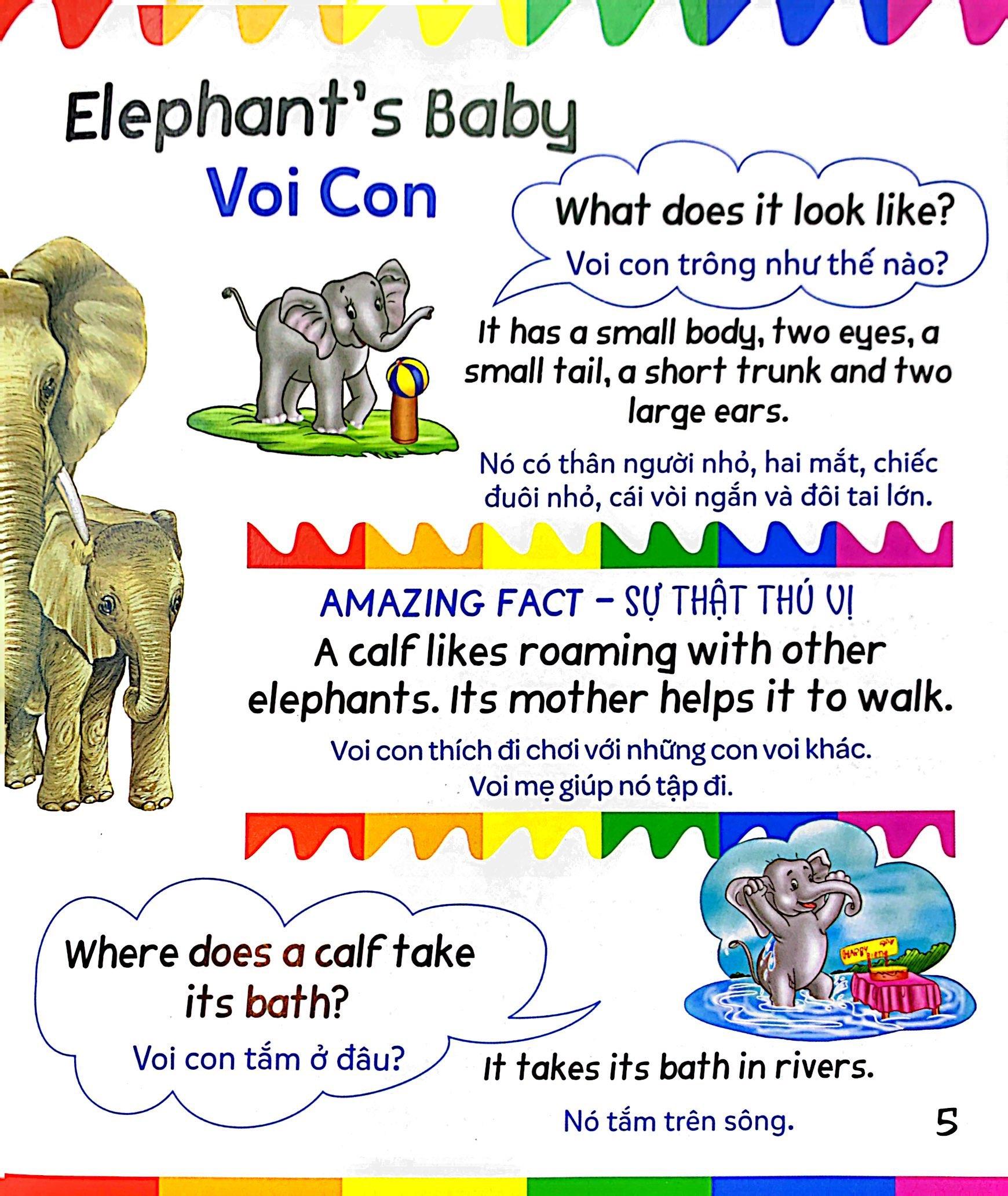 Mẹ Hỏi Bé Trả Lời - Song Ngữ Anh-Việt - Baby Animals - Những Con Vật Bé Bỏng (Dành Cho Trẻ Từ 2-7 Tuổi)