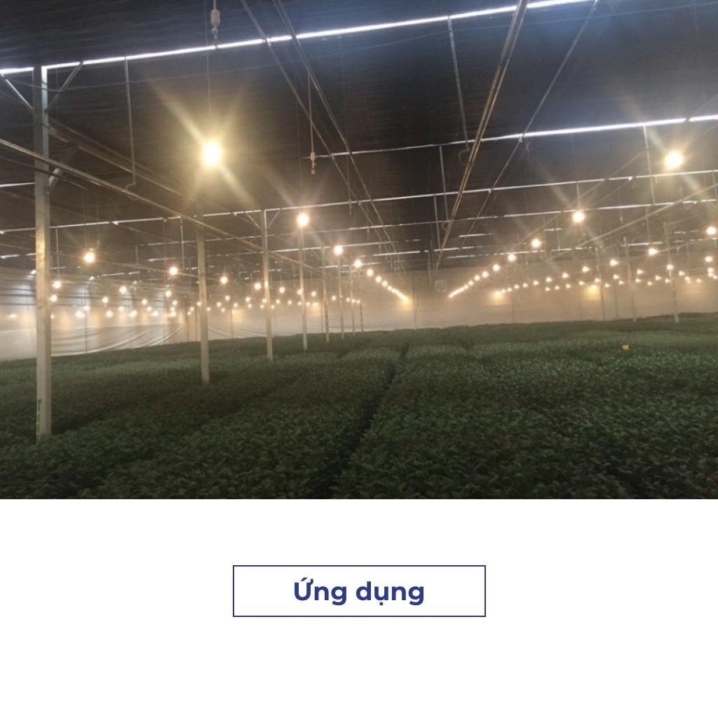 Đèn led trồng hoa cúc 9W Rạng đông Model: LED HC A60/9W 3000K