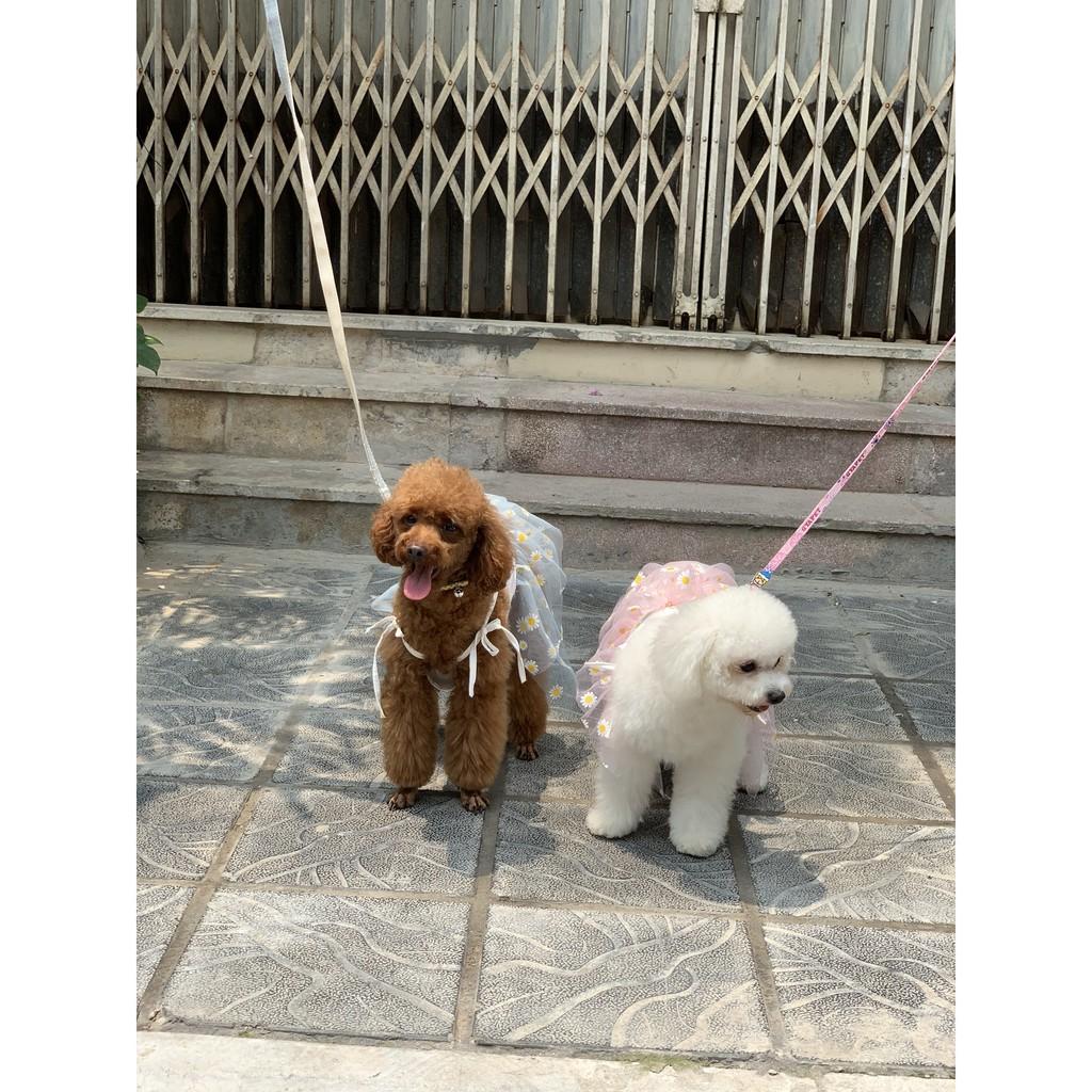 Váy hè thiết kế dành riêng cho thú cưng dưới 8kg