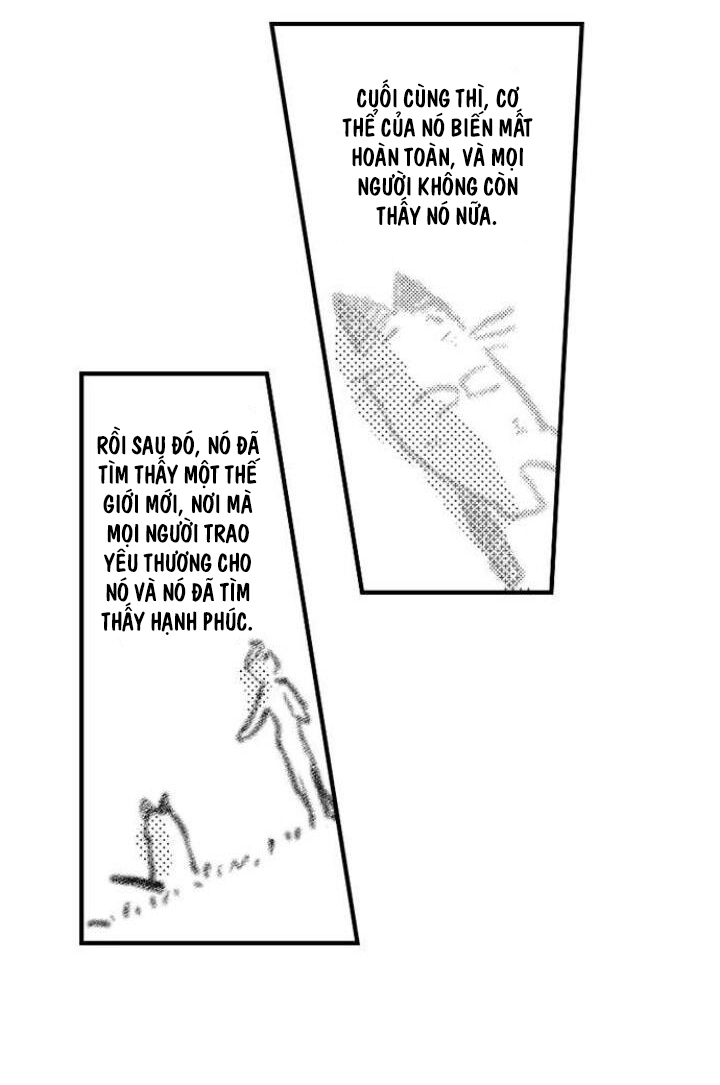 tiếng gọi của tình yêu sau trải nghiệm cận tử chapter 16 17