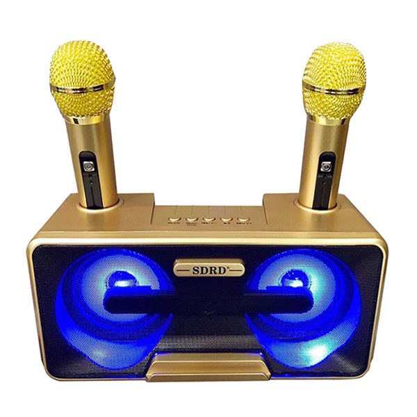 Loa Hát Karaoke SD301 Kèm 2 Mic Không Dây Giau Màu Ngẫu Nhiên