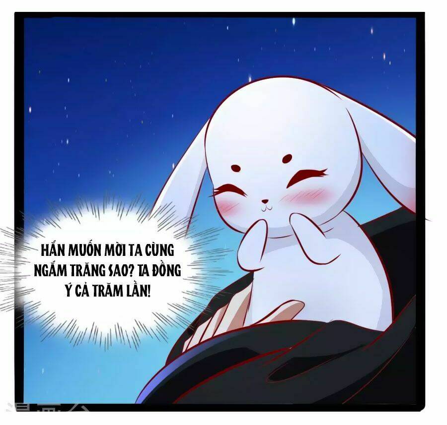 thỏ yêu tiểu vương phi chapter 44 22