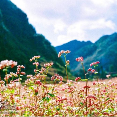 Tour 3N2Đ Hà Giang - Đồng Văn - Du Thuyền Sông Nho Quế - Cột Cờ Lũng Cú - Mèo Vạc