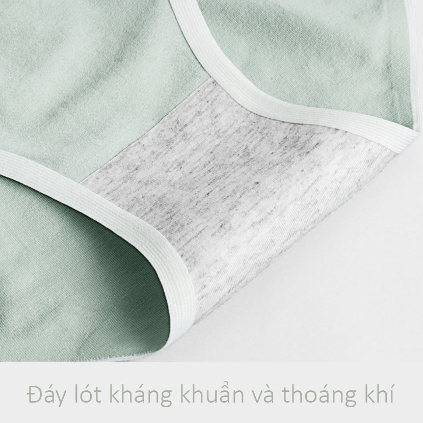 QUẦN LÓT BẦU CẠP CHÉO Không Đường May vải Cotton co giãn thấm hút tốt cho mẹ bầu và sau sinh- QL02