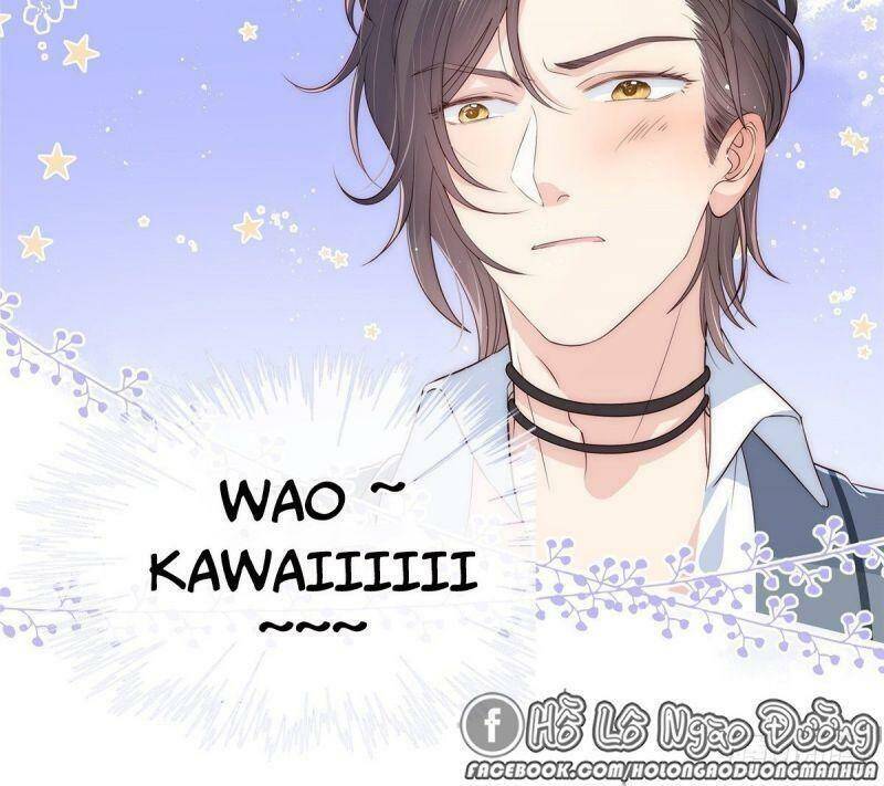 đoàn sủng lão đại ba tuổi rưỡi chapter 0.5 15