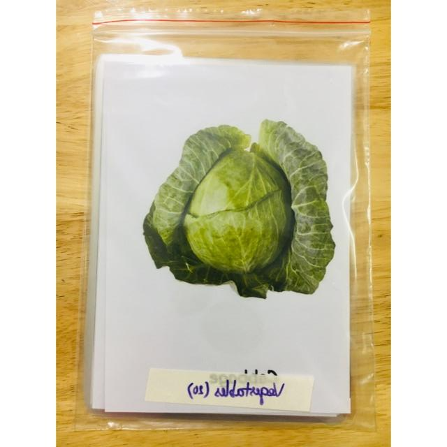 Thẻ học tiếng anh ép plastic Bộ Rau Củ Quả (Vegetables)