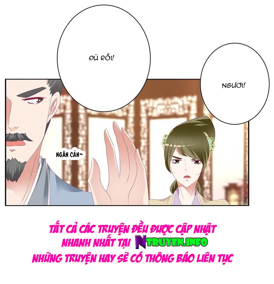 thông linh phi chapter 619 13