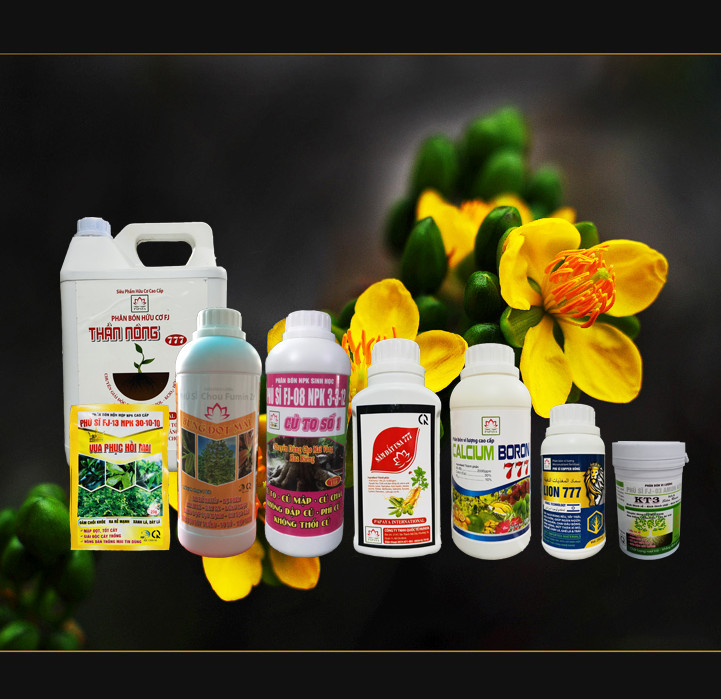 Phân bón vi lượng Buông Đòn Lớn Trái 777 chai 1 lít