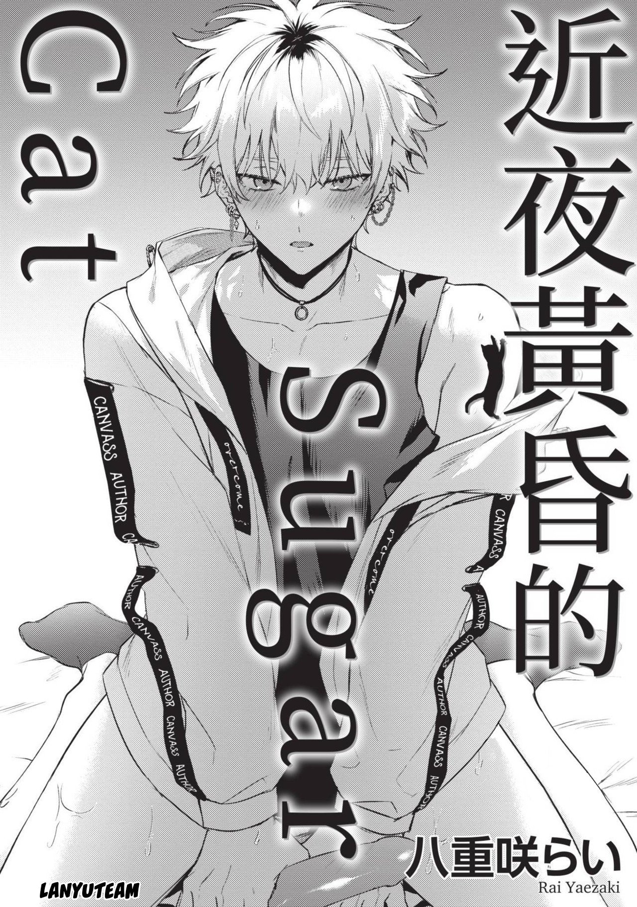 mèo nhỏ dưới ánh hoàng hôn chapter 4 1