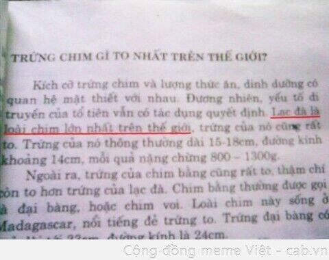 rage comic-troll chapter 67 23