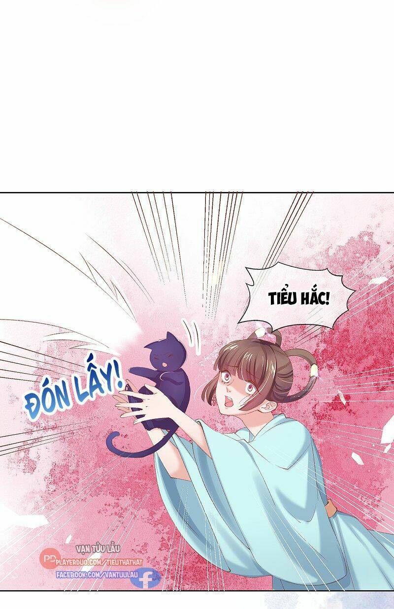 thị huyết y phi chapter 107 12