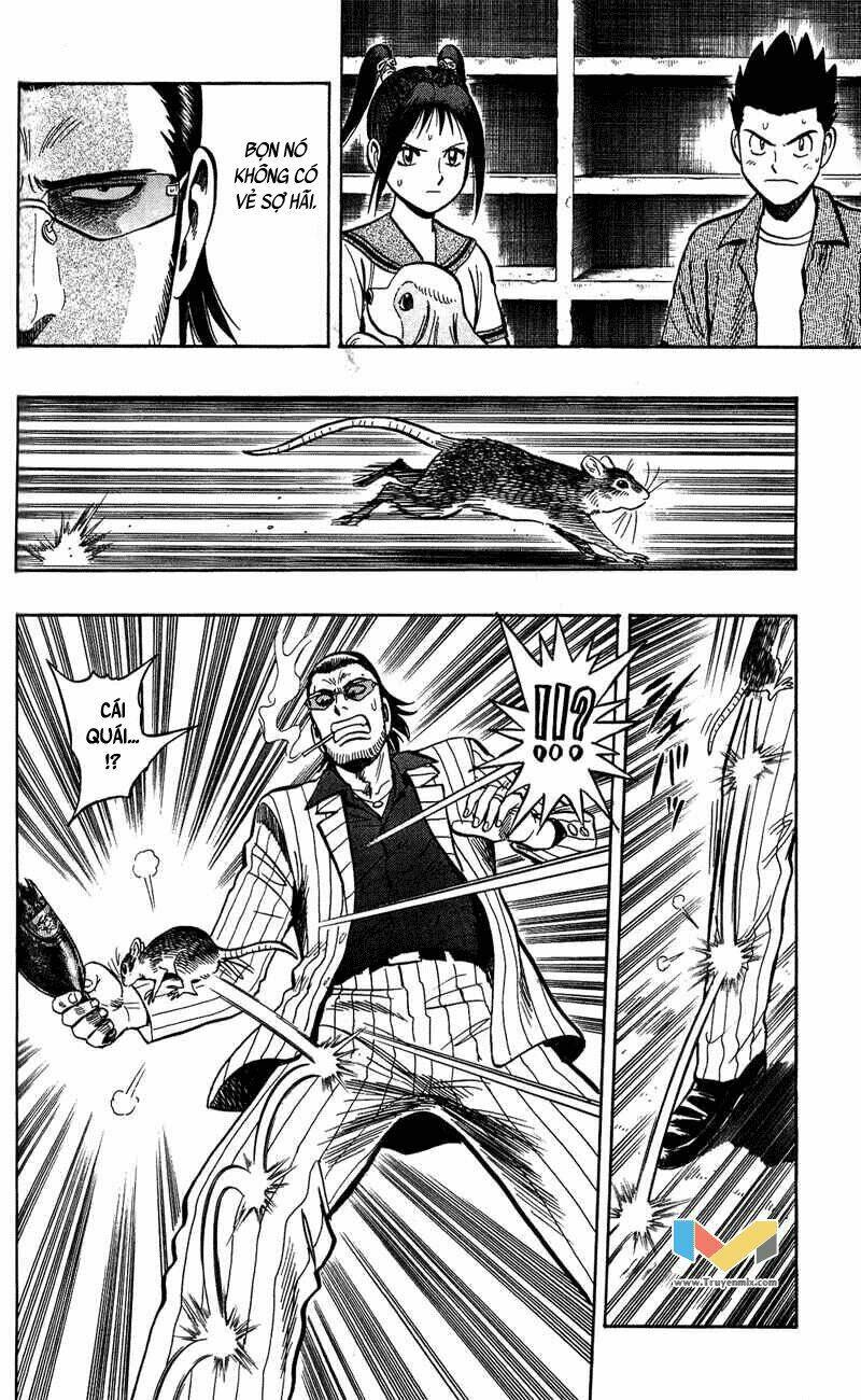 animal sense chapter 6 13