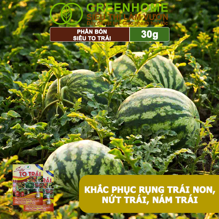 Phân Bón Siêu To Trái, GreenHome, Gói 30Gr, Thúc Trái Nhanh Lớn, Chắc Ruột, Nặng Ký, Đẹp Mã