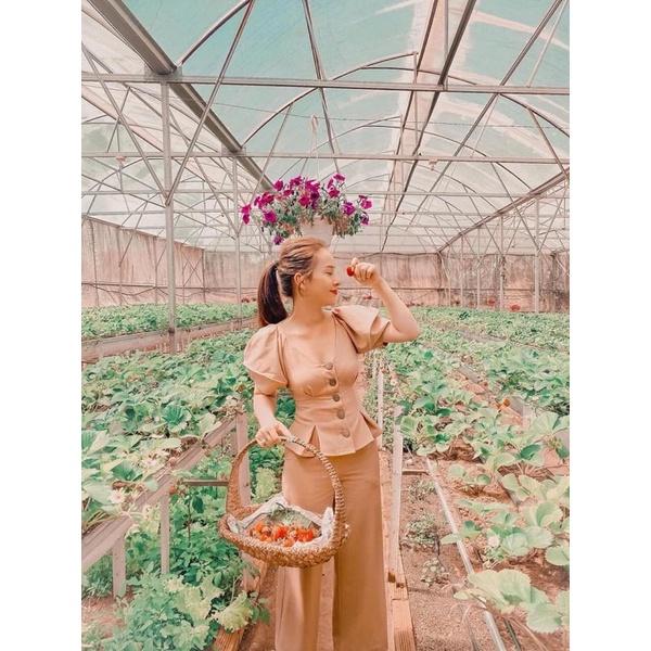 SET ÁO PEPLUM TAY BỒNG QUẦN SUÔNG