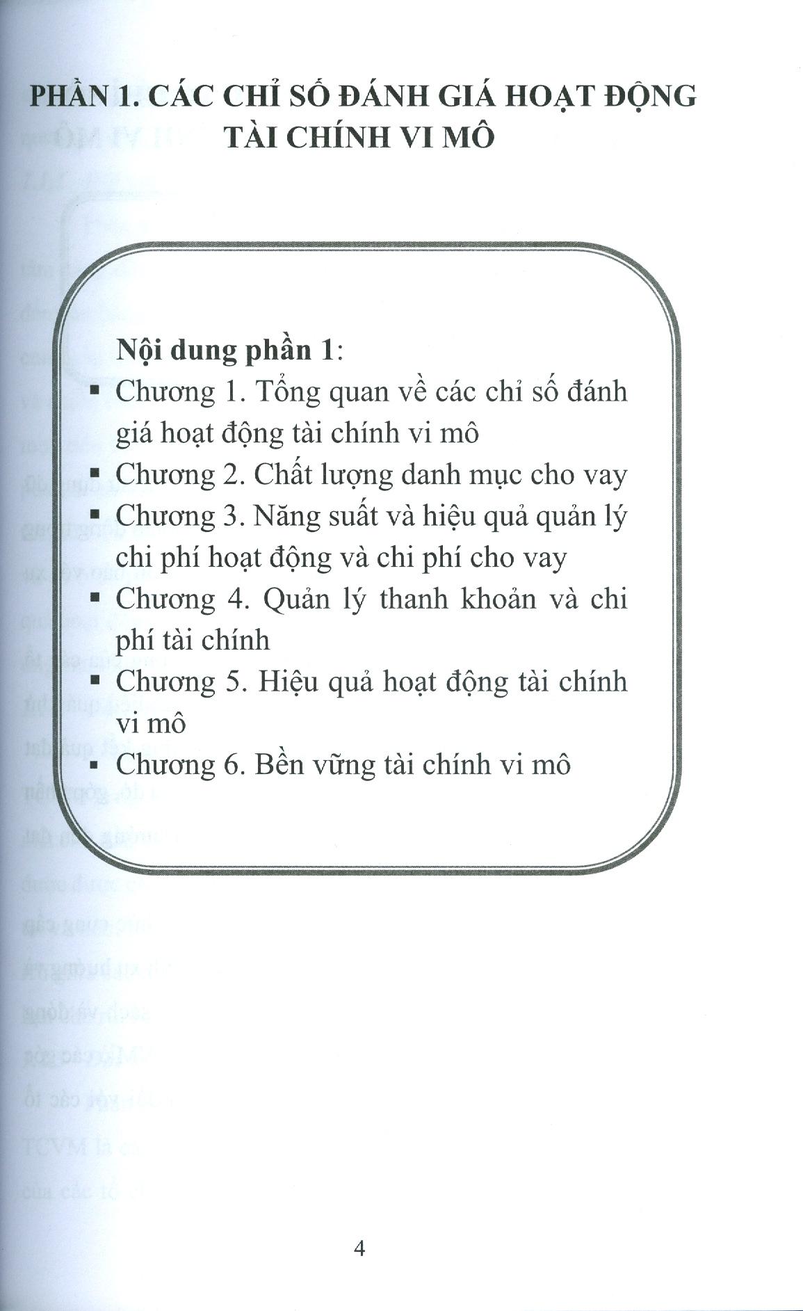 Tài Chính Vi Mô - Chỉ Số Đánh Giá Và Quan Hệ Tương Tác