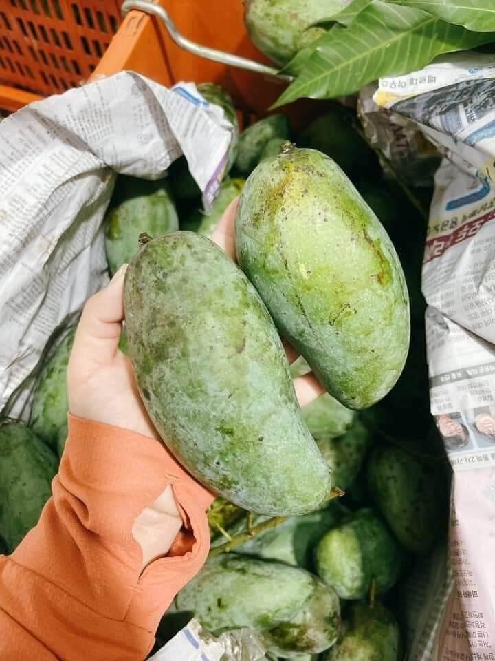 CÂY GIỐNG XOÀI KHÔNG HẠT SIÊU SỚM