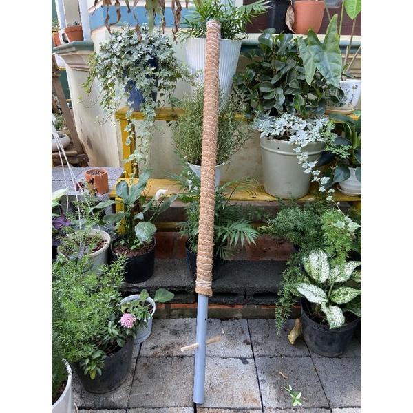 Trụ cây dây leo sơ dừa. lõi gỗ, sợi cotton 65-130cm