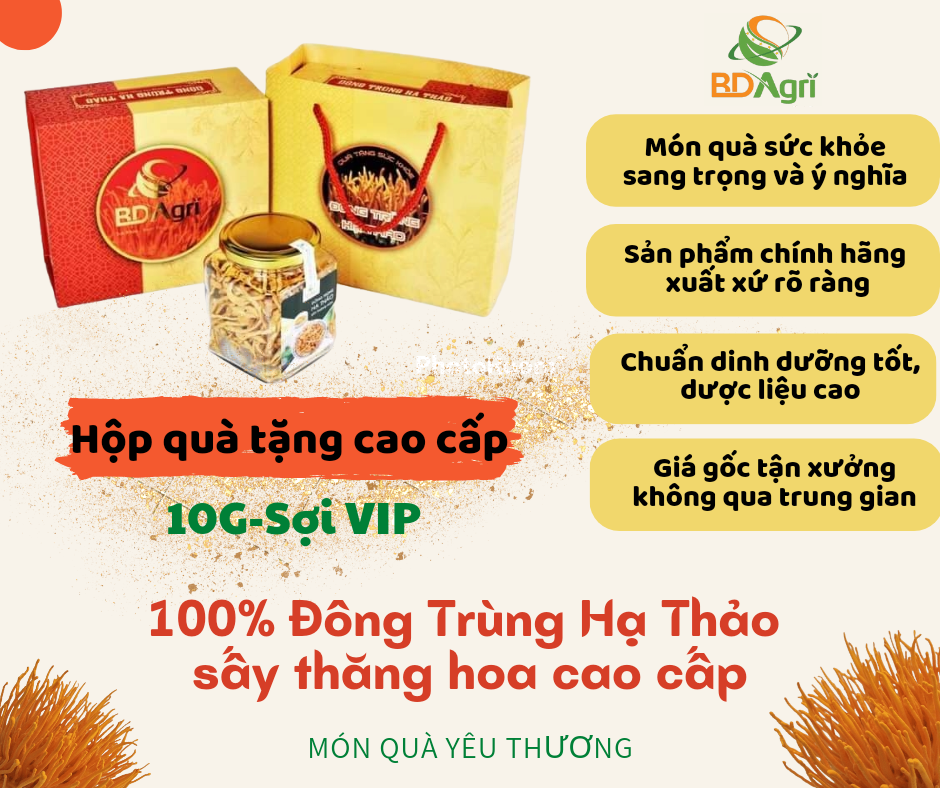 ''HỘP QUÀ TẶNG CAO CẤP'' ĐÔNG TRÙNG HẠ THẢO BDAGRI SẤY THĂNG HOA