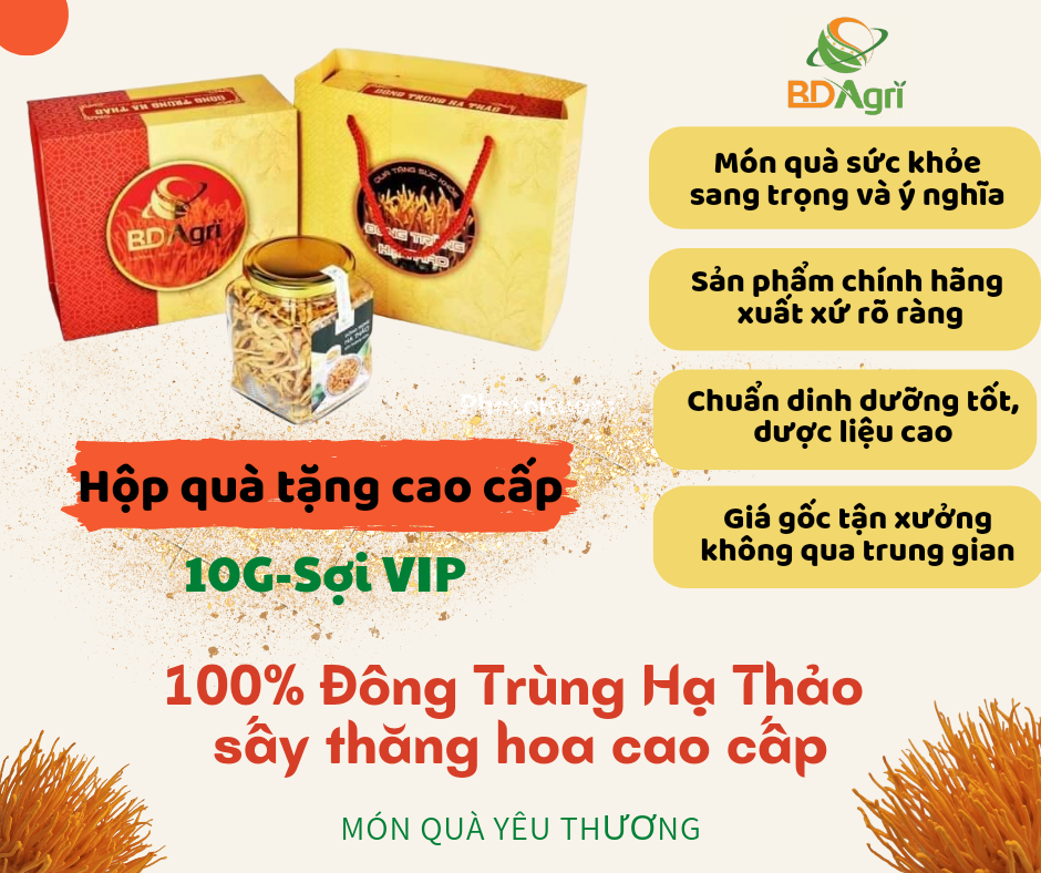 ''HỘP QUÀ TẶNG CAO CẤP'' ĐÔNG TRÙNG HẠ THẢO BDAGRI SẤY THĂNG HOA 