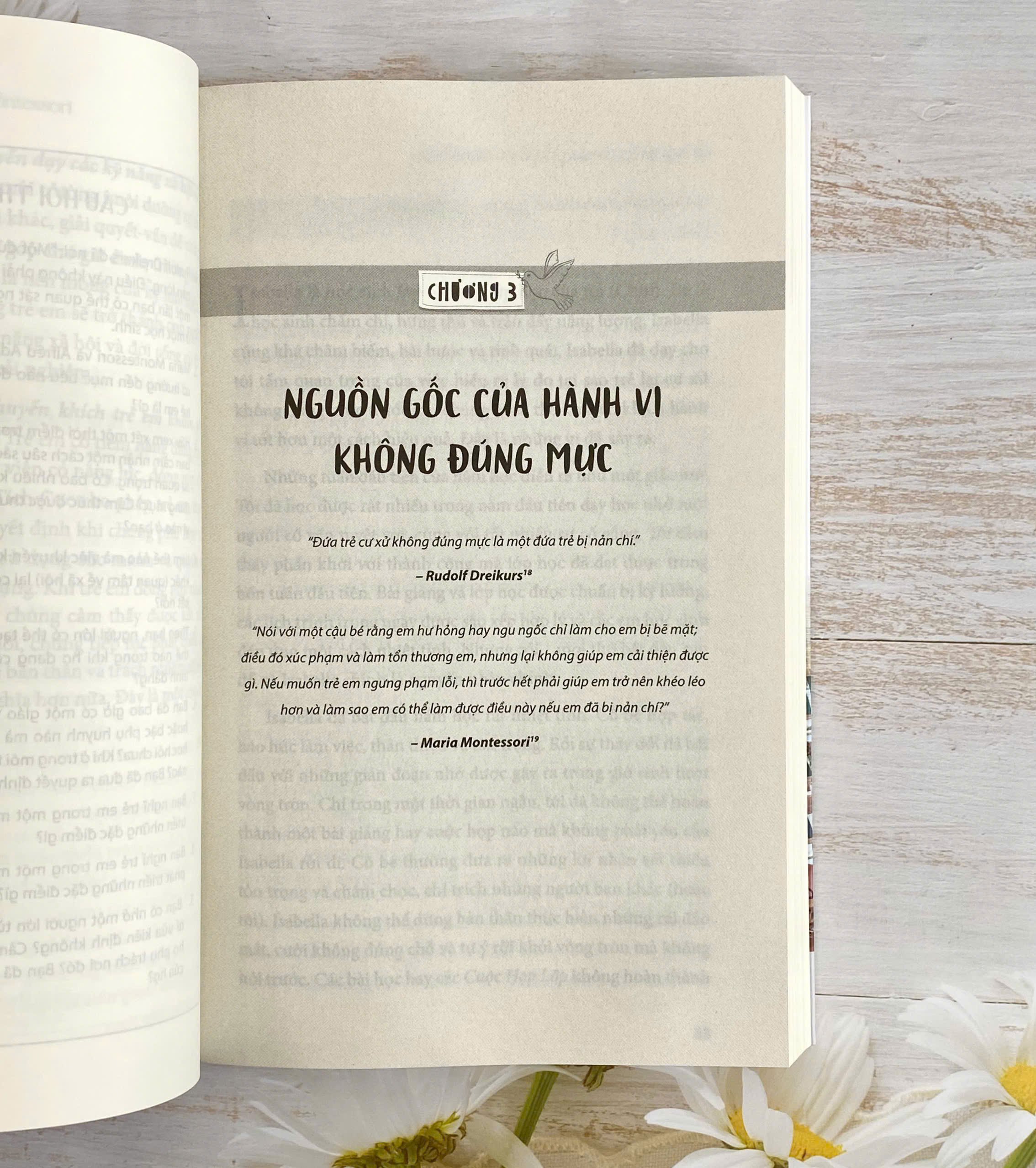 Sách - Kỷ luật tích cực trong lớp học Montessori