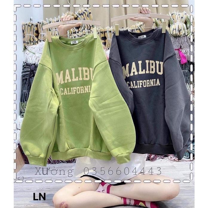 Áo Swt MALIBU TH6