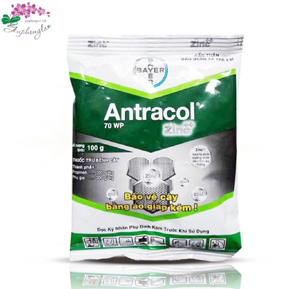 ANTRACOL 70WP GÓI 100G TRỪ NẤM BỆNH DÙNG CHO LAN, CÂY TRỒNG