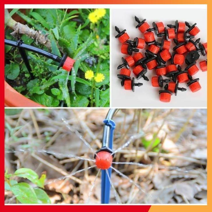 50 đầu nhỏ giọt 8 tia tưới gốc cây 206852