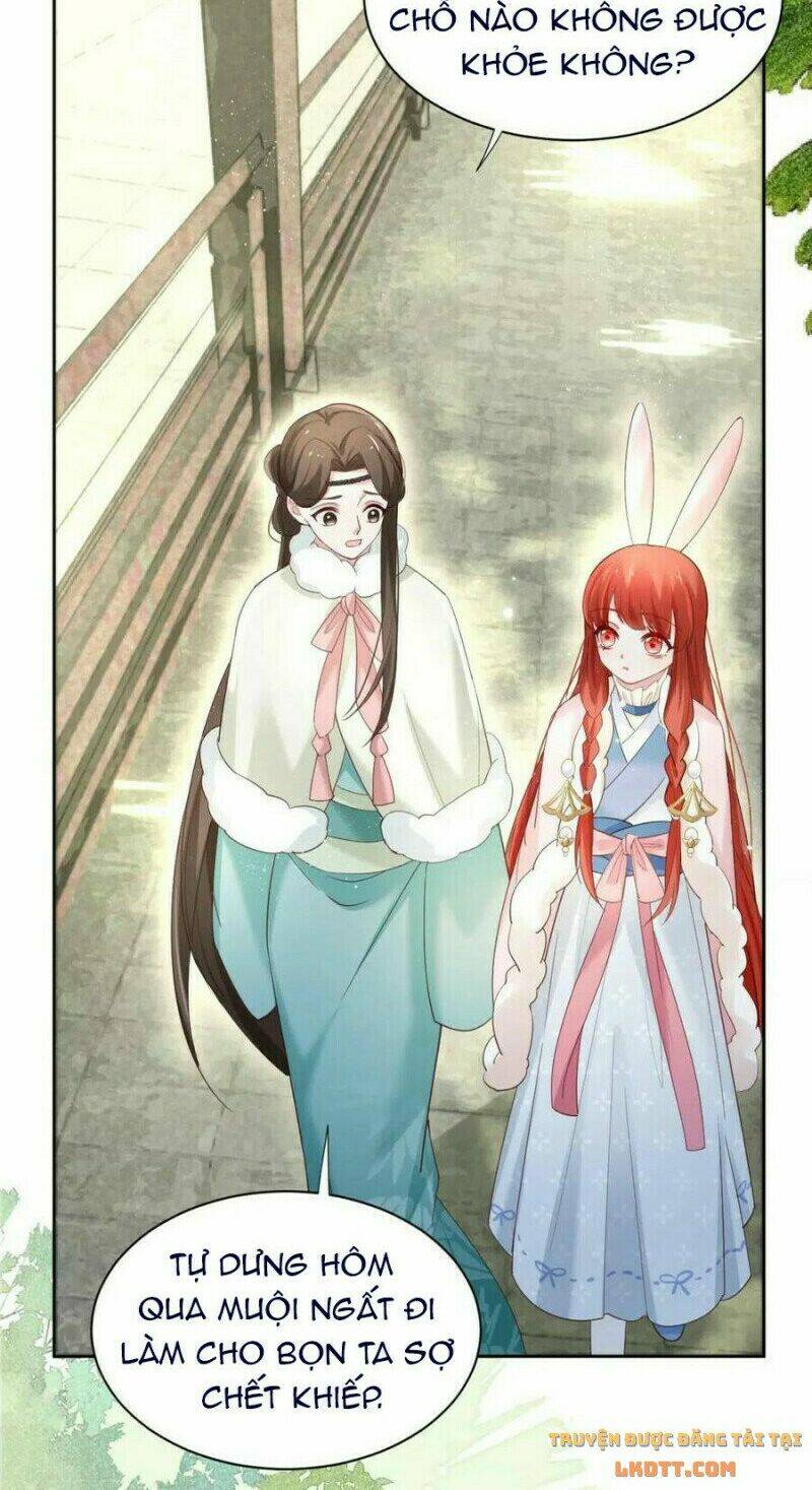 hắc hóa nam chính trực tuyến nuôi thỏ chapter 61 20