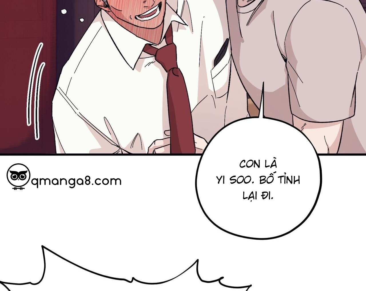 chàng dâu nhà họ kang chapter 47 5