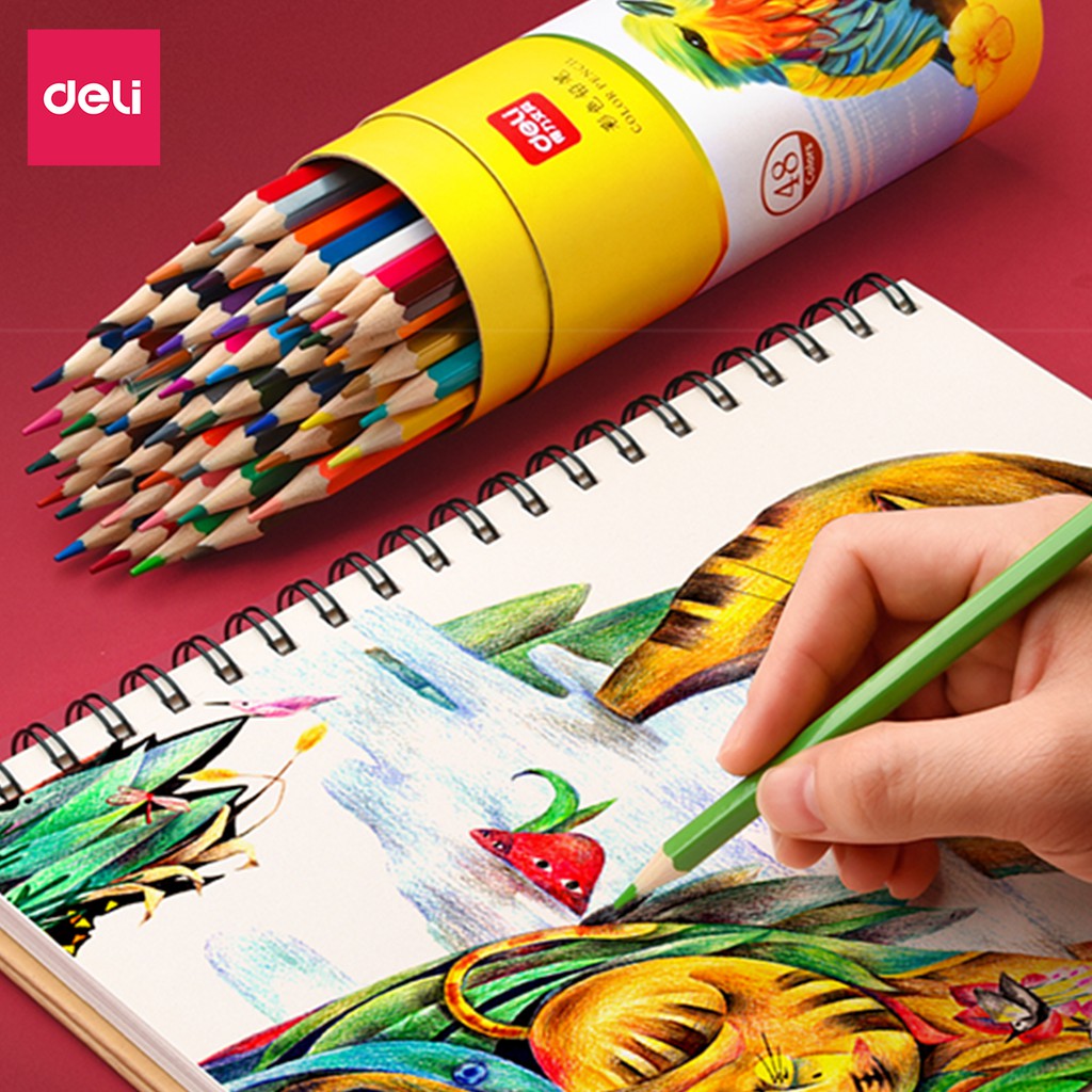 Bút chì màu Cho Bé Deli - gỗ khô tự nhiên an toàn cho trẻ tập vẽ - 12/24/36/48 màu sắc tươi sáng