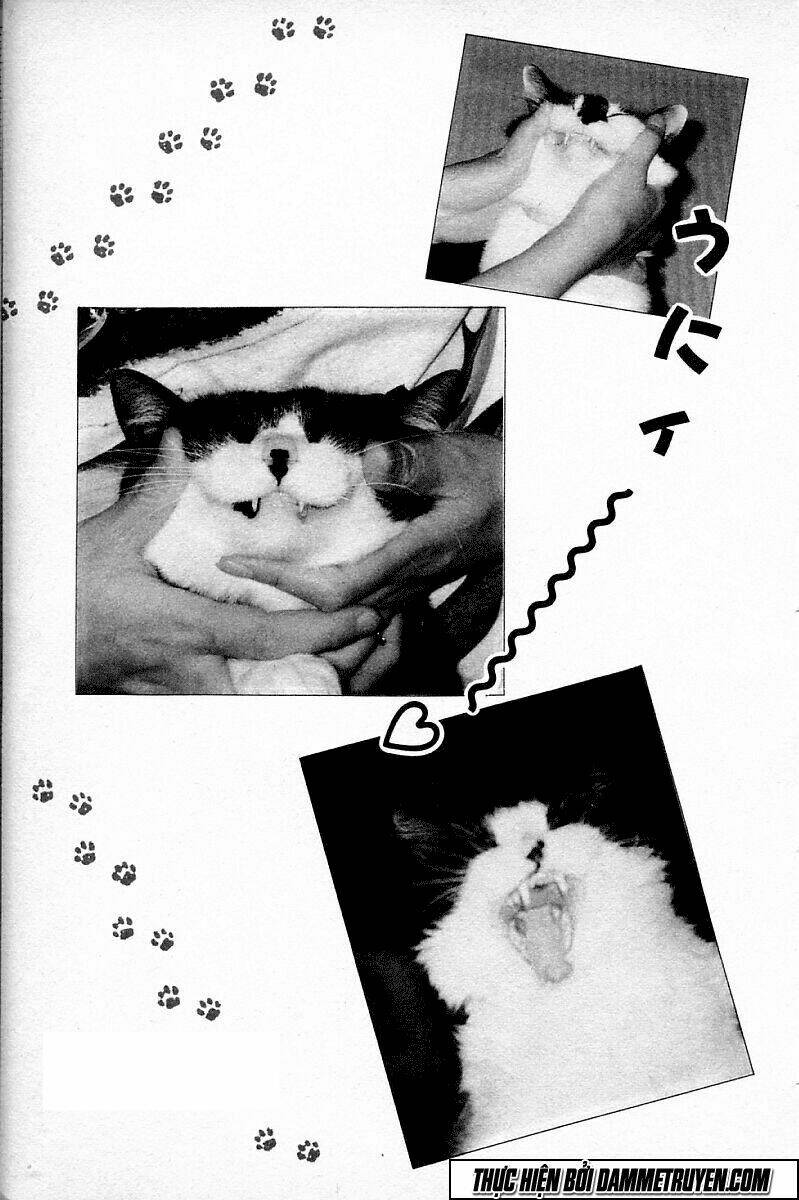 shin kotaro makaritoru! juudouhen chapter 95 17