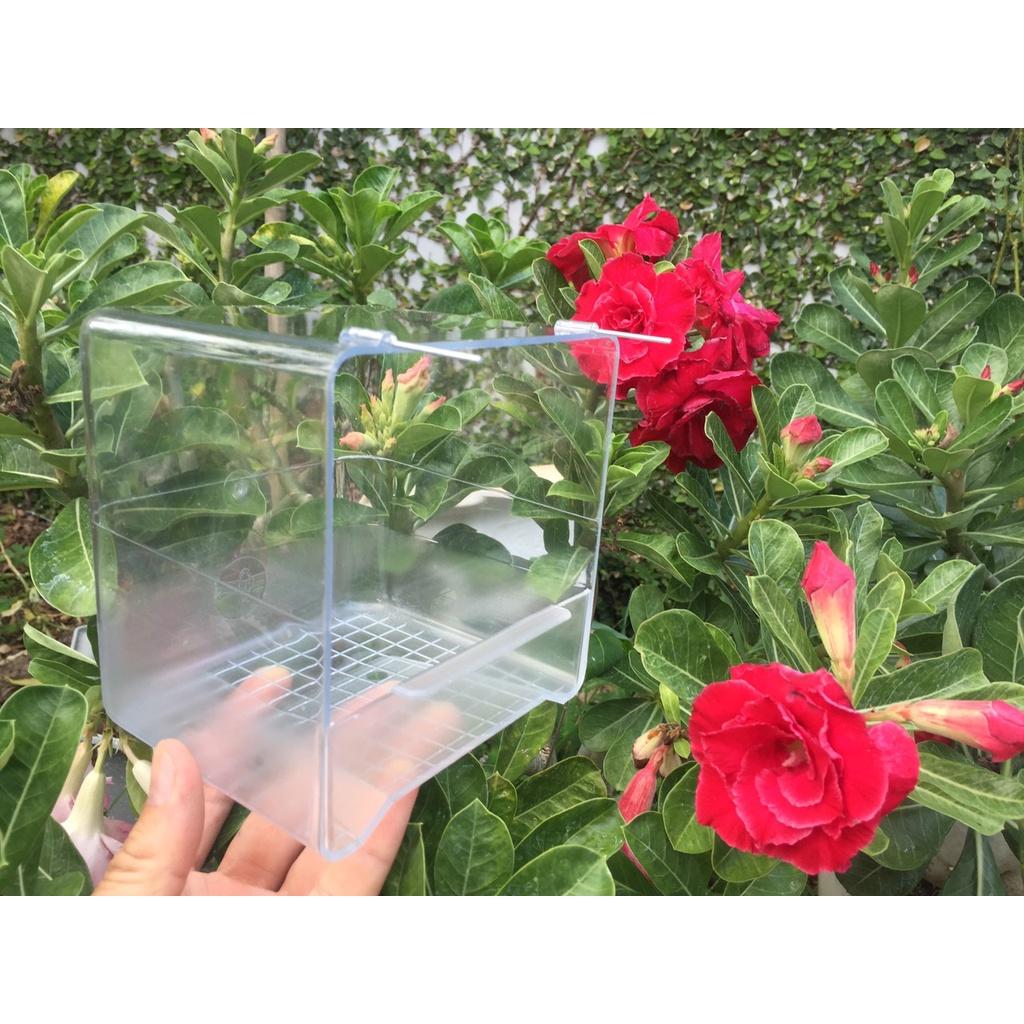 Máng tắm ngoài có móc nhựa cho chim yến, finch và dòng vẹt size nhỏ