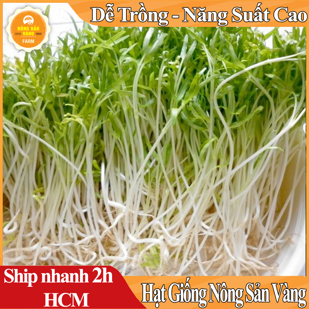 Hạt giống Rau Mầm Rau Muống ( Gói 100 Gram ) - Nông Sản Vàng