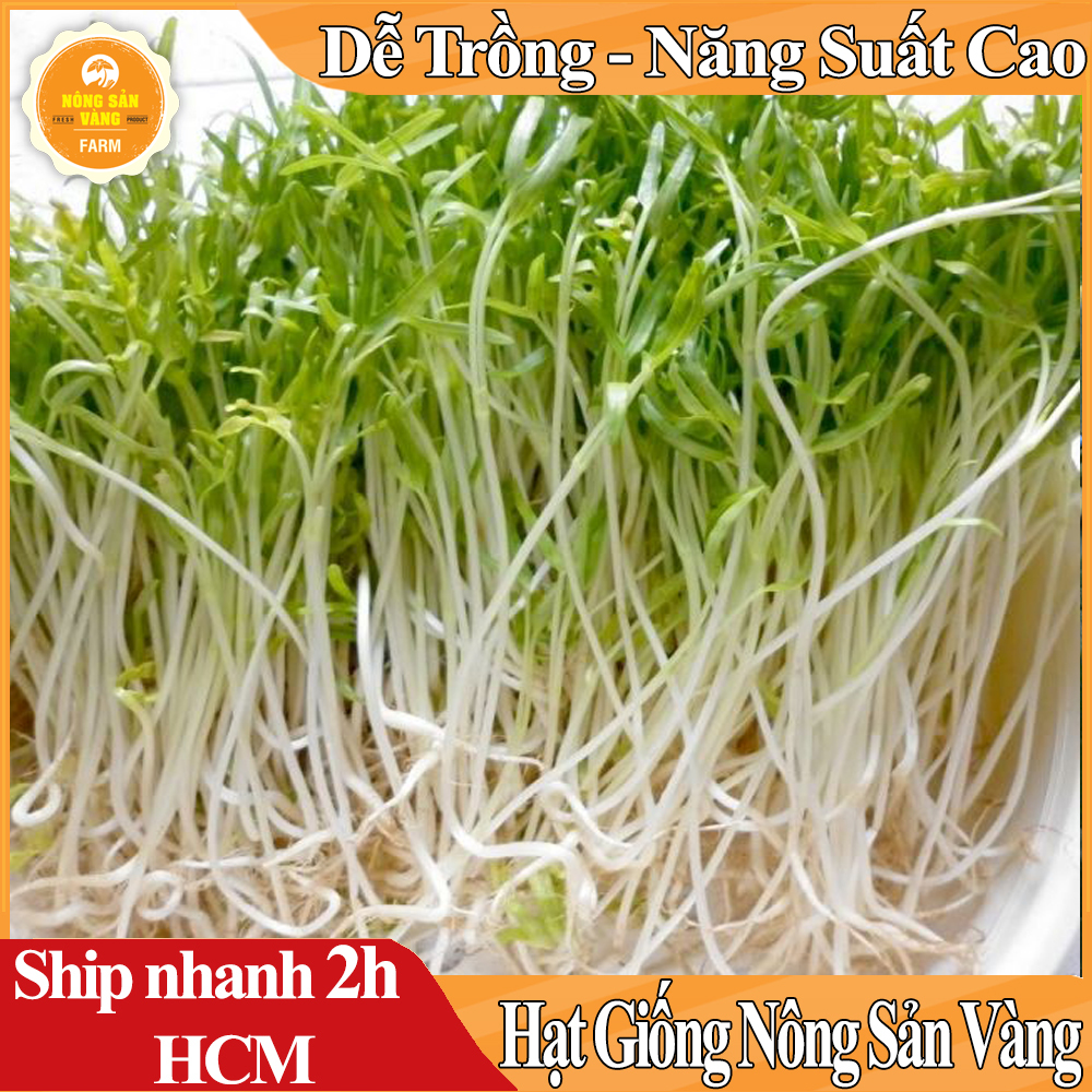 Hạt giống Rau Mầm Rau Muống