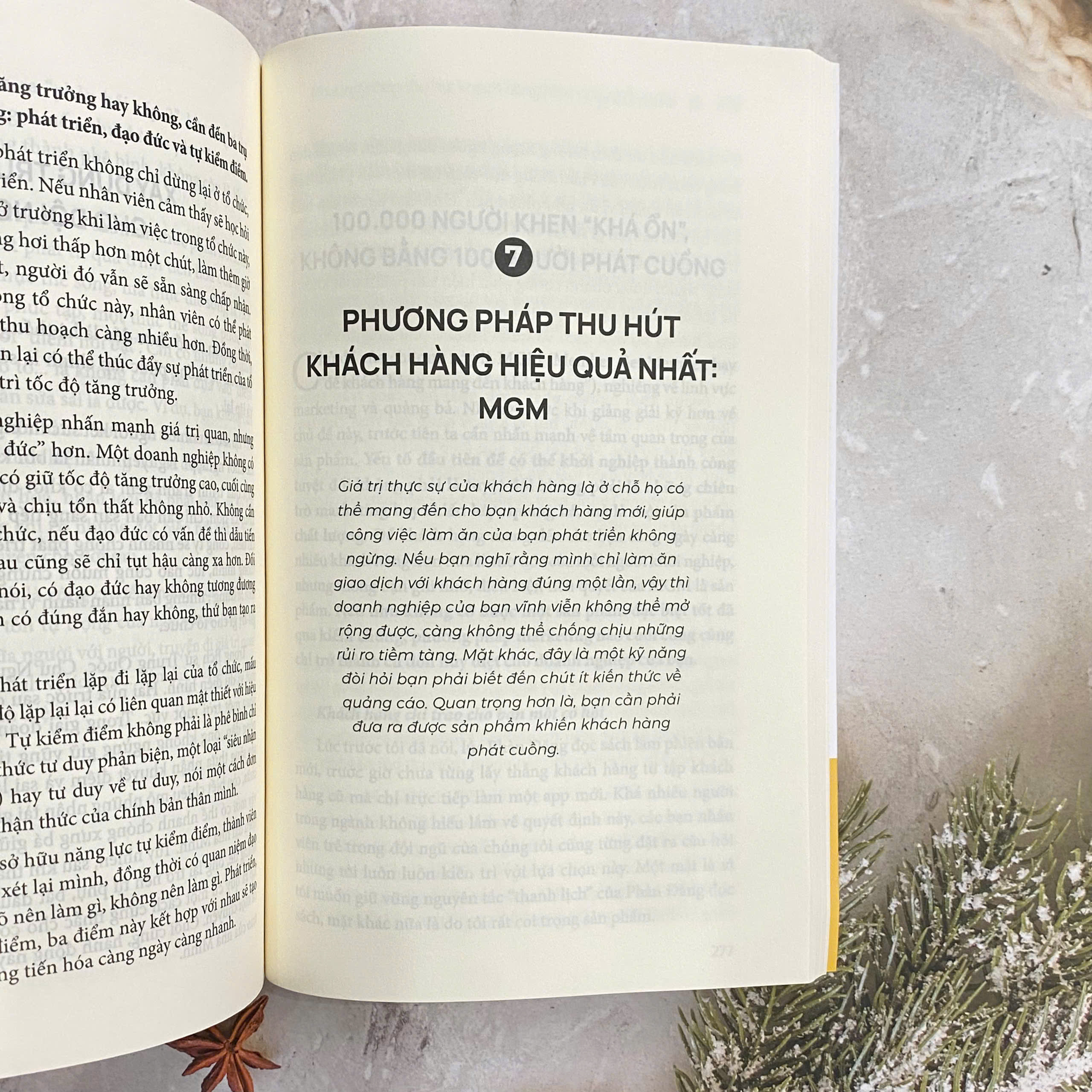 KHỞI NGHIỆP ÍT RỦI RO – Rủi Ro Càng Ít, Lợi Nhuận Càng Cao -  Phàn Đăng – Vương Thúy Quỳnh dịch - Mochibooks - ảnh 5