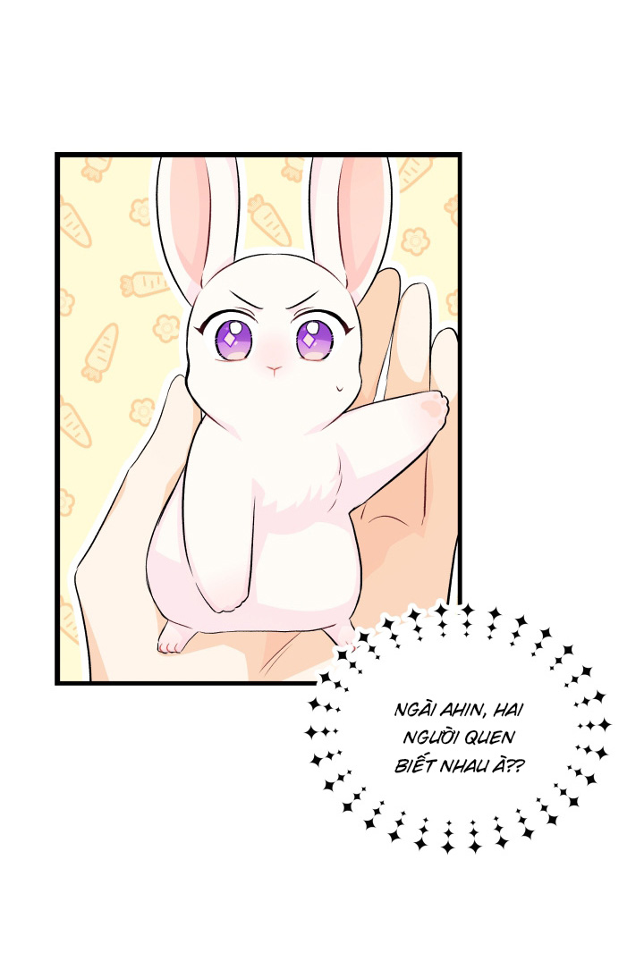 mối liên kết giữa báo đen và bé thỏ chapter 9 19