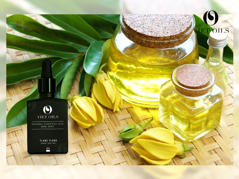 Tinh Dầu Ngọc Lan Tây Cao Cấp Viet Oils
